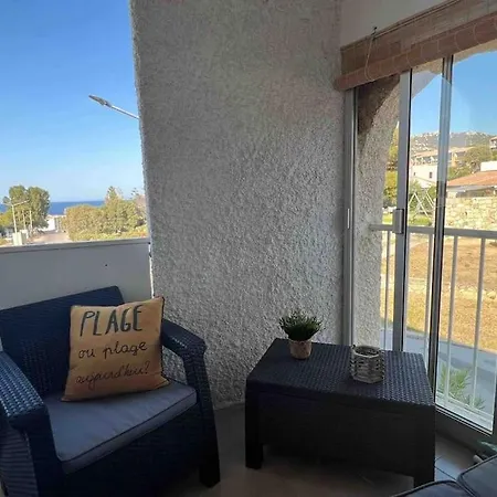 公寓 Marine De Sant'ambroggio Logement A 800m De La